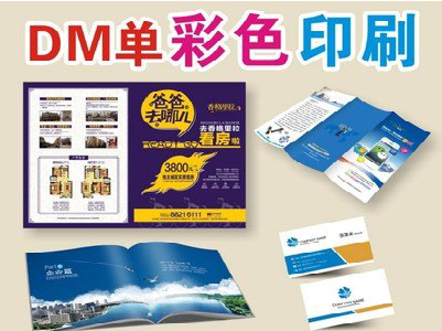 蓝田单页印刷，色彩搭配简单。